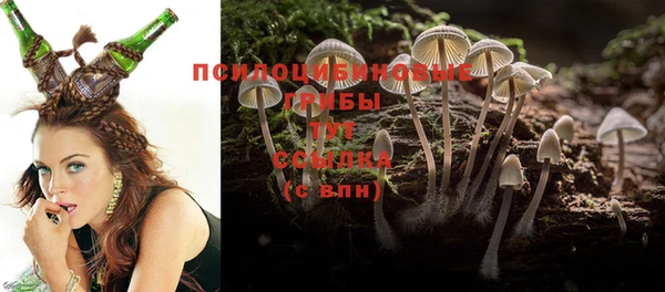 дурь Киренск