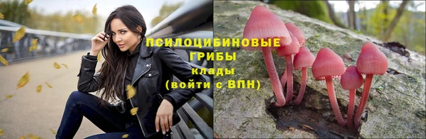 дурь Киренск